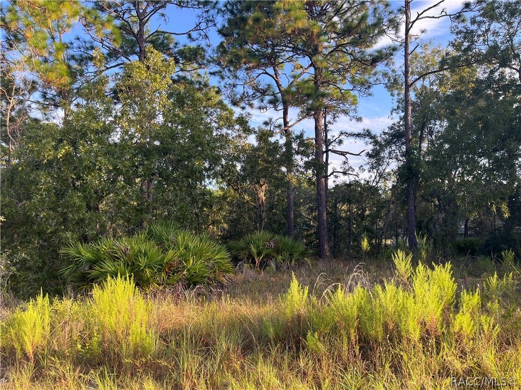 849 W Hummingbird Drive, Citrus Springs, FL 34434 849 W Hummingbird Drive, Citrus Springs, FL 34434