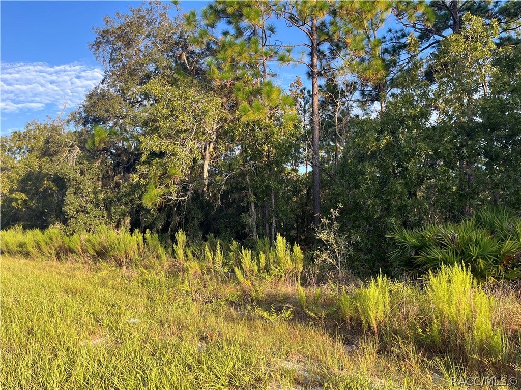 849 W Hummingbird Drive, Citrus Springs, FL 34434 849 W Hummingbird Drive, Citrus Springs, FL 34434