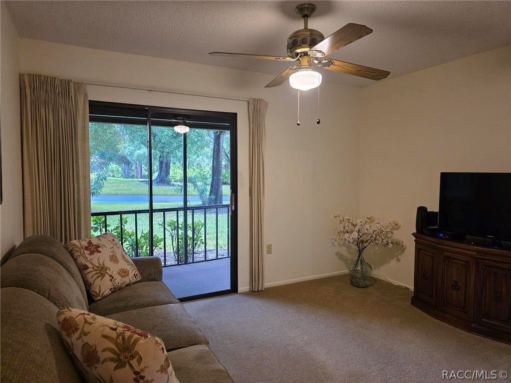 2923 Fig Court, Palm Harbor, FL 34684