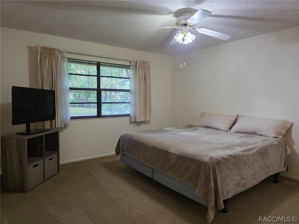 2923 Fig Court, Palm Harbor, FL 34684