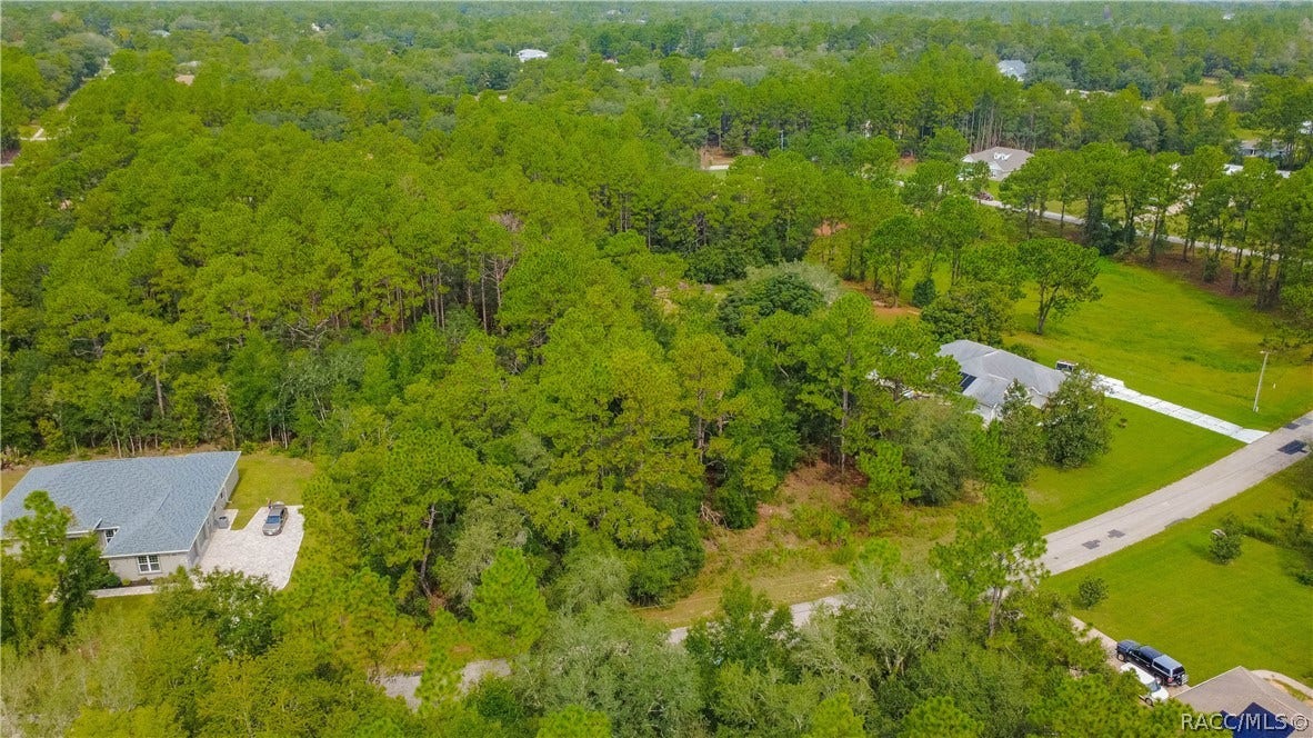 5960 N Rosebark Way, Beverly Hills, FL 34465