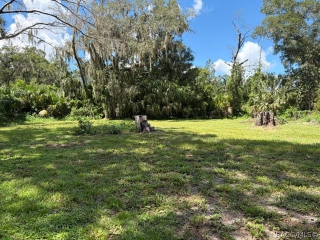 2030 NW 15th Avenue, Crystal River, FL 34428 Fenced back yard