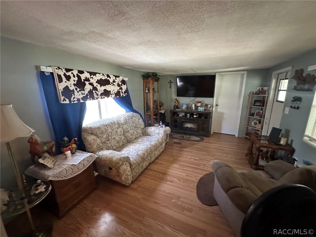 6545 S Gross Avenue, Homosassa, FL 34446 Living room