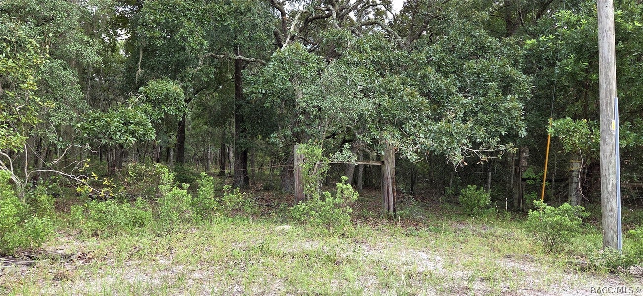 10442 E Moccasin Slough Road, Inverness, FL 34450