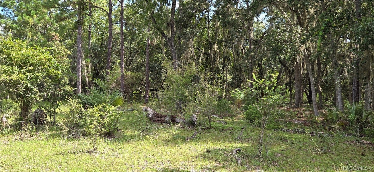 10442 E Moccasin Slough Road, Inverness, FL 34450