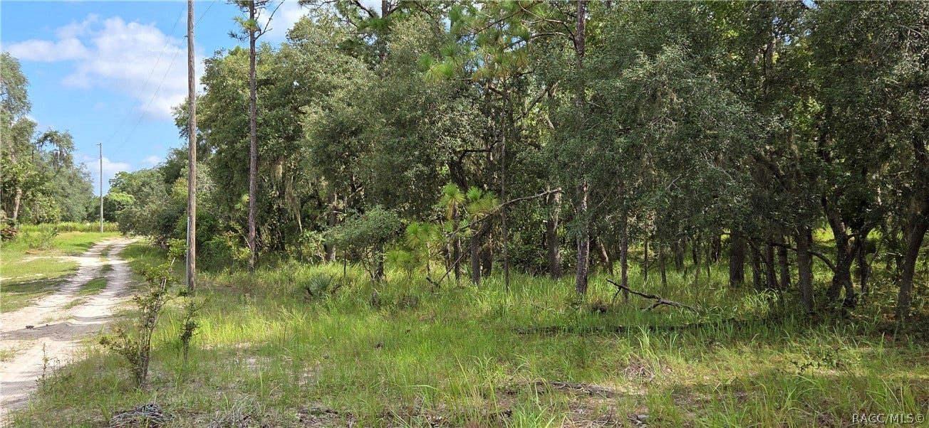 10442 E Moccasin Slough Road, Inverness, FL 34450