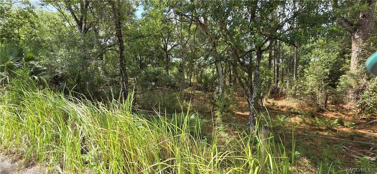10442 E Moccasin Slough Road, Inverness, FL 34450