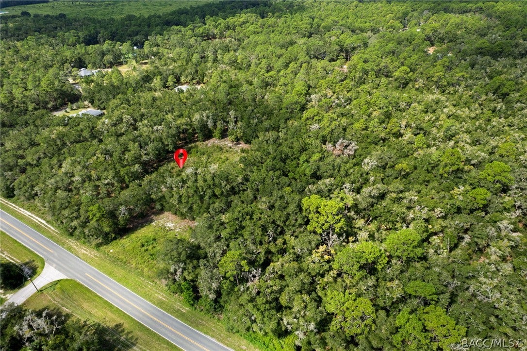 7706 N Citrus Avenue, Crystal River, FL 34428