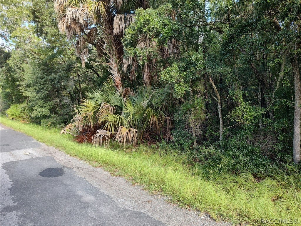 6869 W Van Buren Drive, Homosassa, FL 34448 6869 W Van Buren Drive, Homosassa, FL 34448