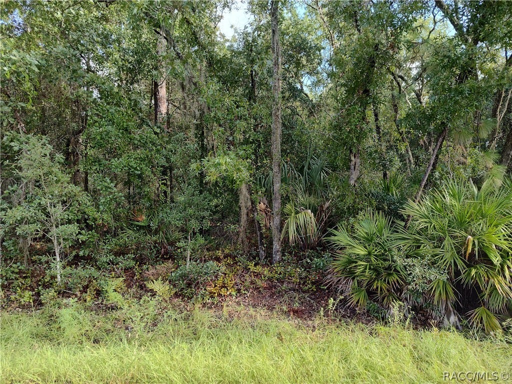 6869 W Van Buren Drive, Homosassa, FL 34448 6869 W Van Buren Drive, Homosassa, FL 34448