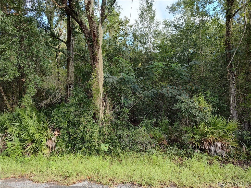 6869 W Van Buren Drive, Homosassa, FL 34448 6869 W Van Buren Drive, Homosassa, FL 34448