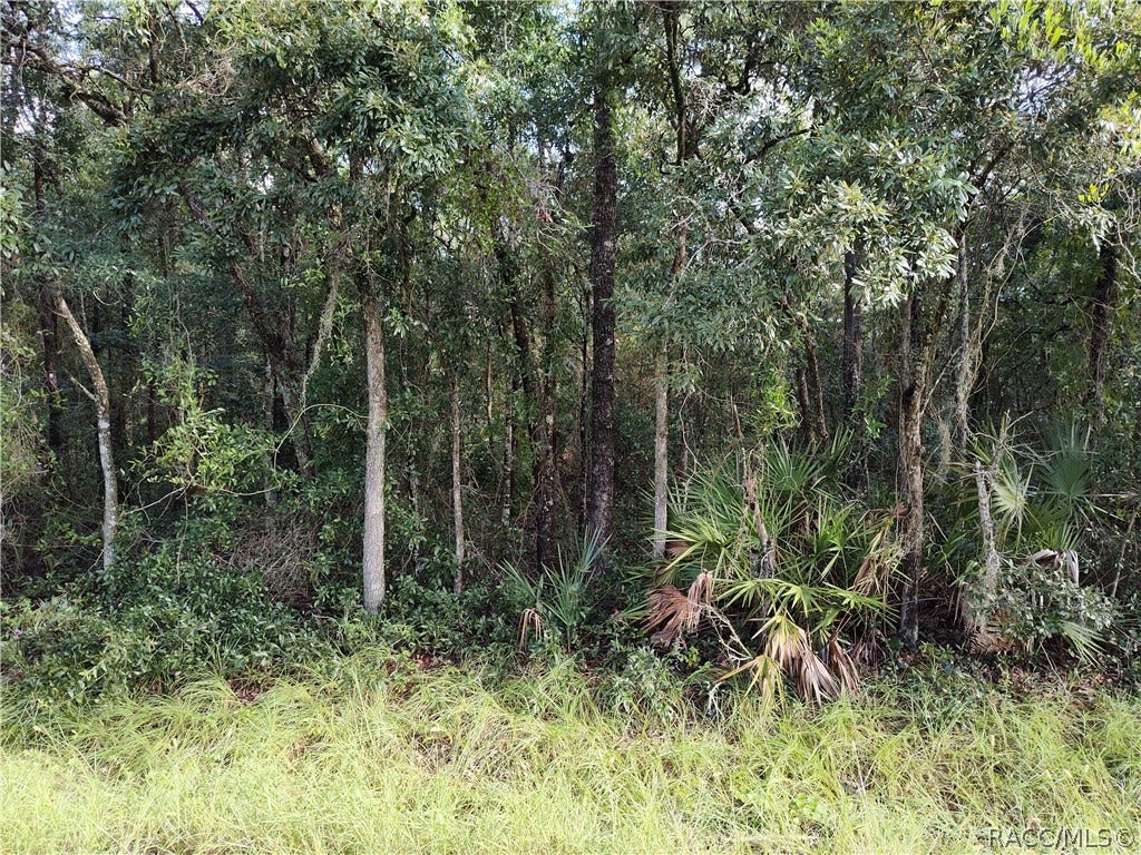 6869 W Van Buren Drive, Homosassa, FL 34448 6869 W Van Buren Drive, Homosassa, FL 34448