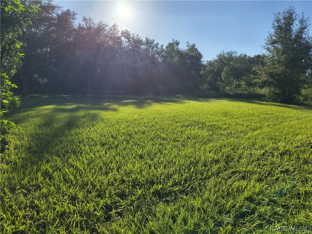 7999 N Merrimac Way, Citrus Springs, FL 34434 7999 N Merrimac Way, Citrus Springs, FL 34434