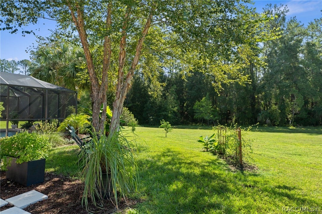 11845 N Bluff Cove Path, Dunnellon, FL 34434 11845 N Bluff Cove Path, Dunnellon, FL 34434