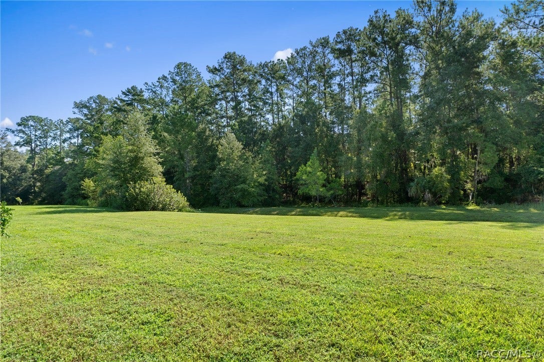 11845 N Bluff Cove Path, Dunnellon, FL 34434 11845 N Bluff Cove Path, Dunnellon, FL 34434