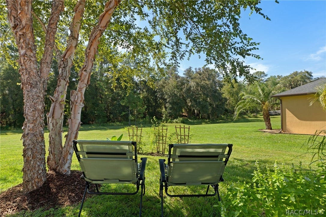 11845 N Bluff Cove Path, Dunnellon, FL 34434 11845 N Bluff Cove Path, Dunnellon, FL 34434