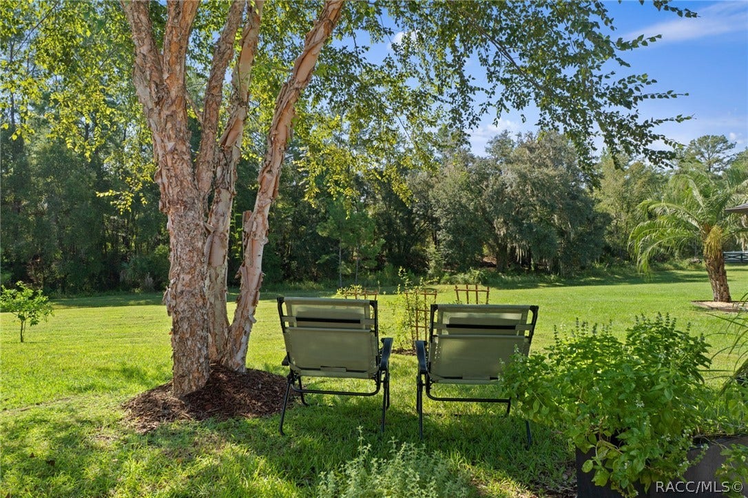 11845 N Bluff Cove Path, Dunnellon, FL 34434 11845 N Bluff Cove Path, Dunnellon, FL 34434