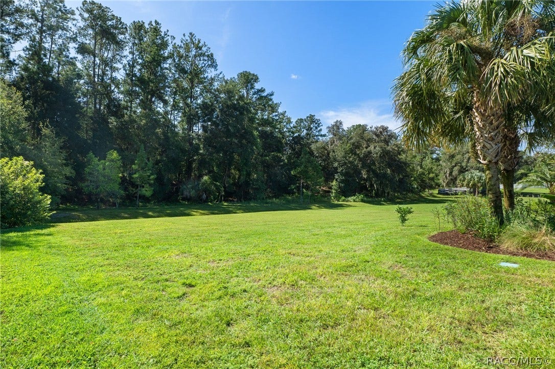 11845 N Bluff Cove Path, Dunnellon, FL 34434 11845 N Bluff Cove Path, Dunnellon, FL 34434