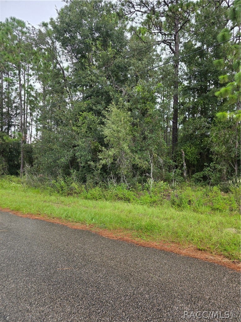 1299 W Tacoma Street, Hernando, FL 34442 1299 W Tacoma Street, Hernando, FL 34442