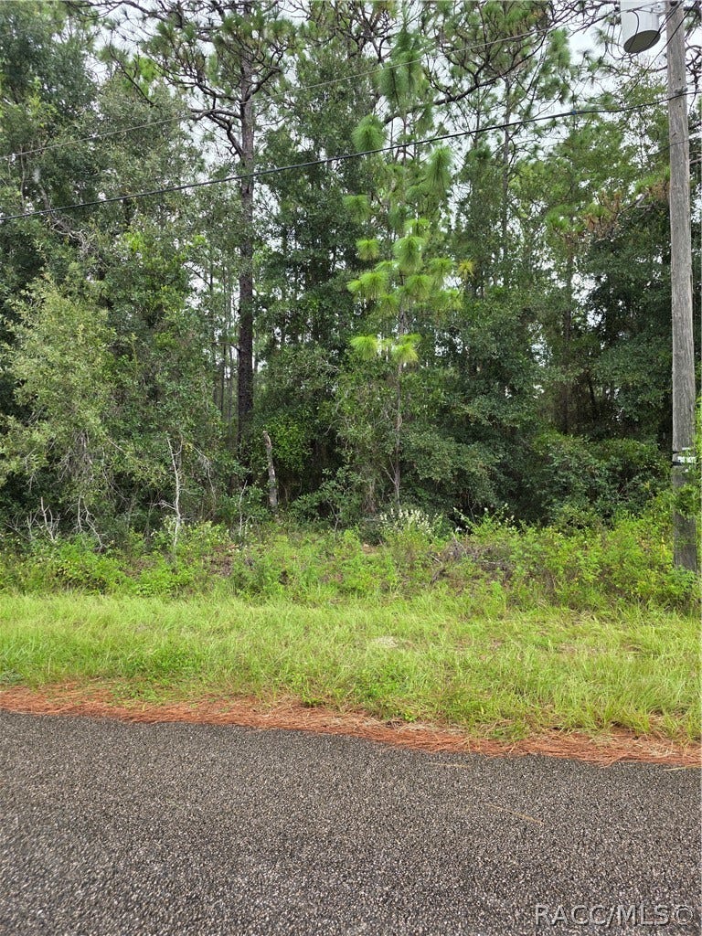 1299 W Tacoma Street, Hernando, FL 34442 1299 W Tacoma Street, Hernando, FL 34442