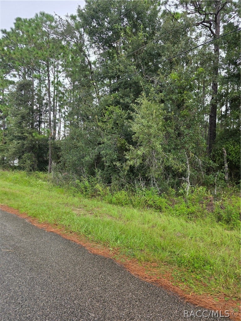1299 W Tacoma Street, Hernando, FL 34442 1299 W Tacoma Street, Hernando, FL 34442