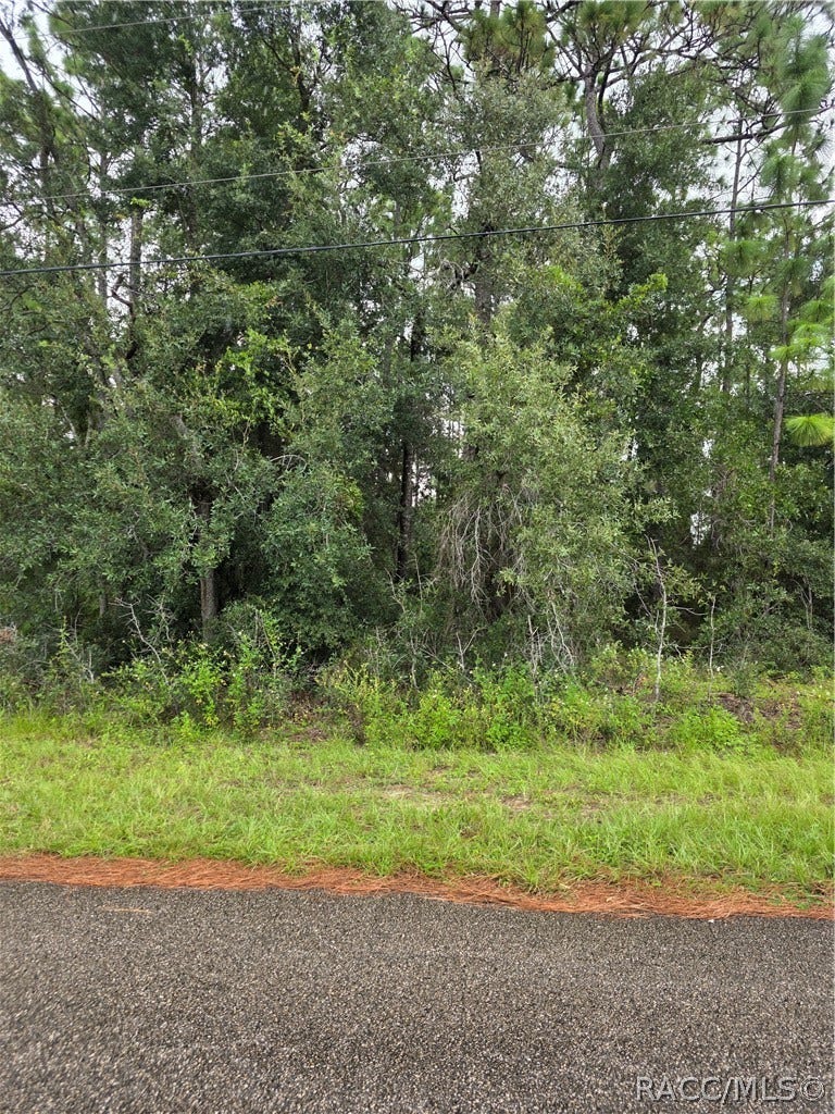 1299 W Tacoma Street, Hernando, FL 34442 1299 W Tacoma Street, Hernando, FL 34442