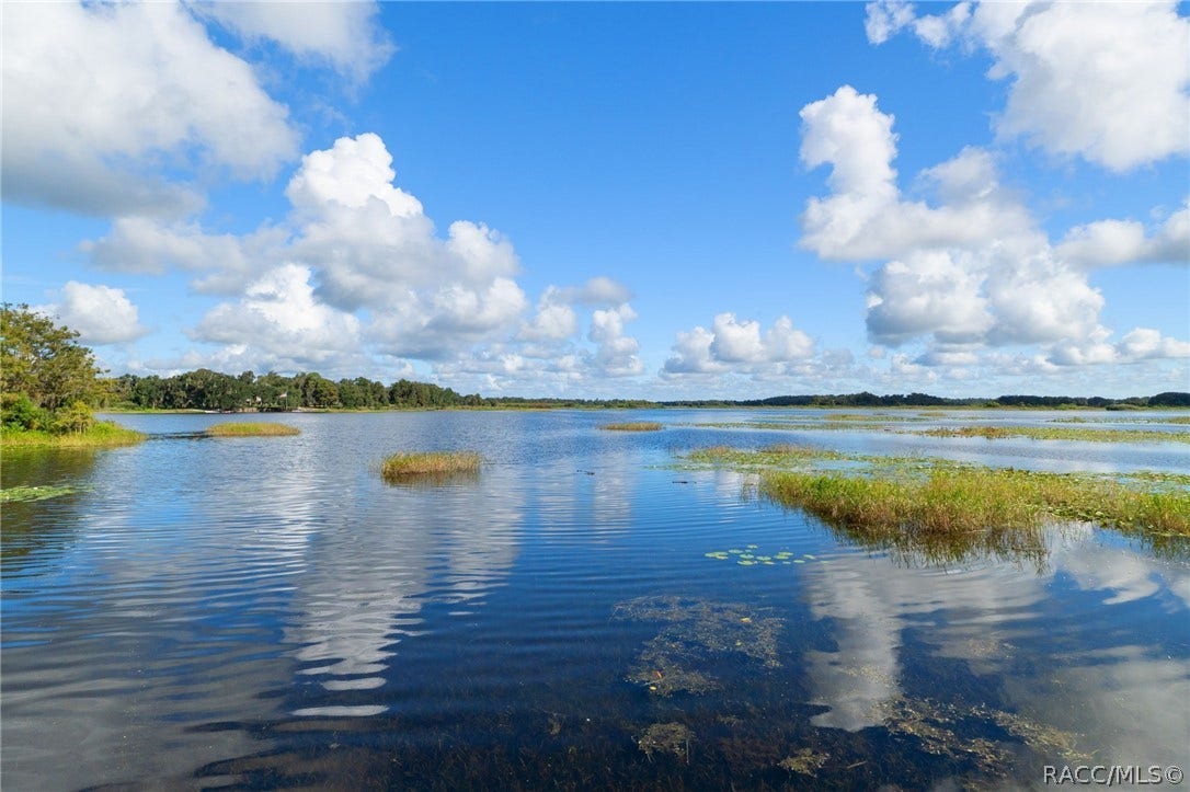 4038 E Eagle Trail, Hernando, FL 34442 4038 E Eagle Trail, Hernando, FL 34442