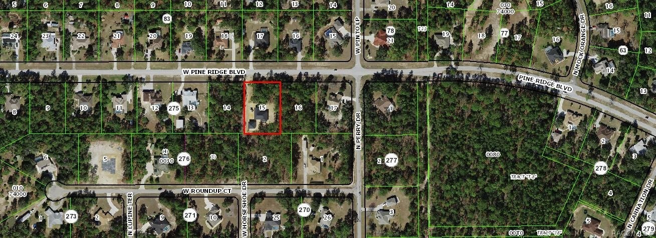4124 W Pine Ridge Boulevard, Beverly Hills, FL 34465 From Citrus County Property Appraiser's Office