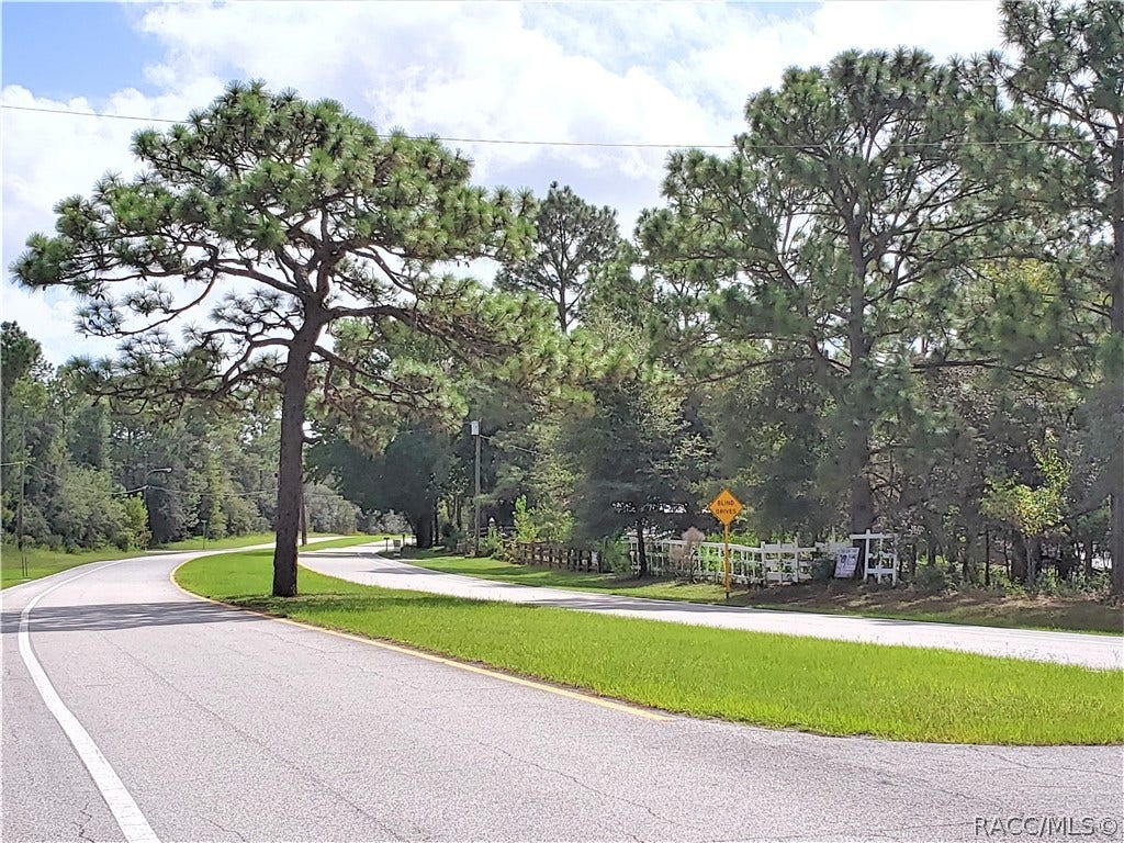 608 E Irene Lane, Citrus Springs, FL 34434