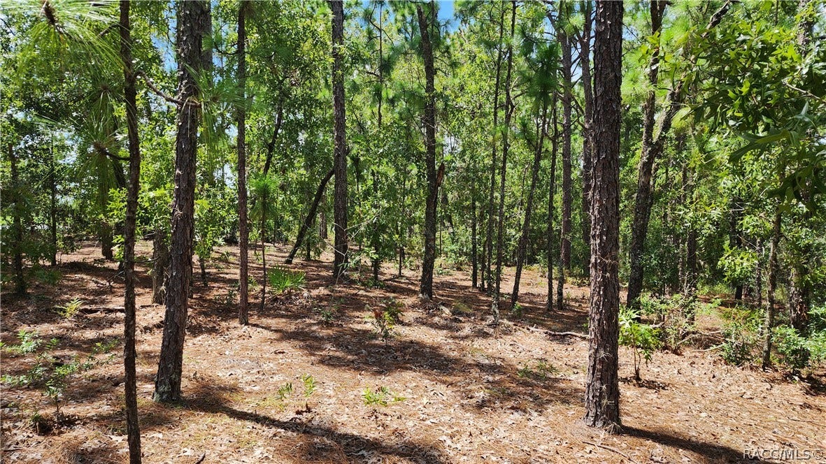 7760 N Pocono Drive, Citrus Springs, FL 34434