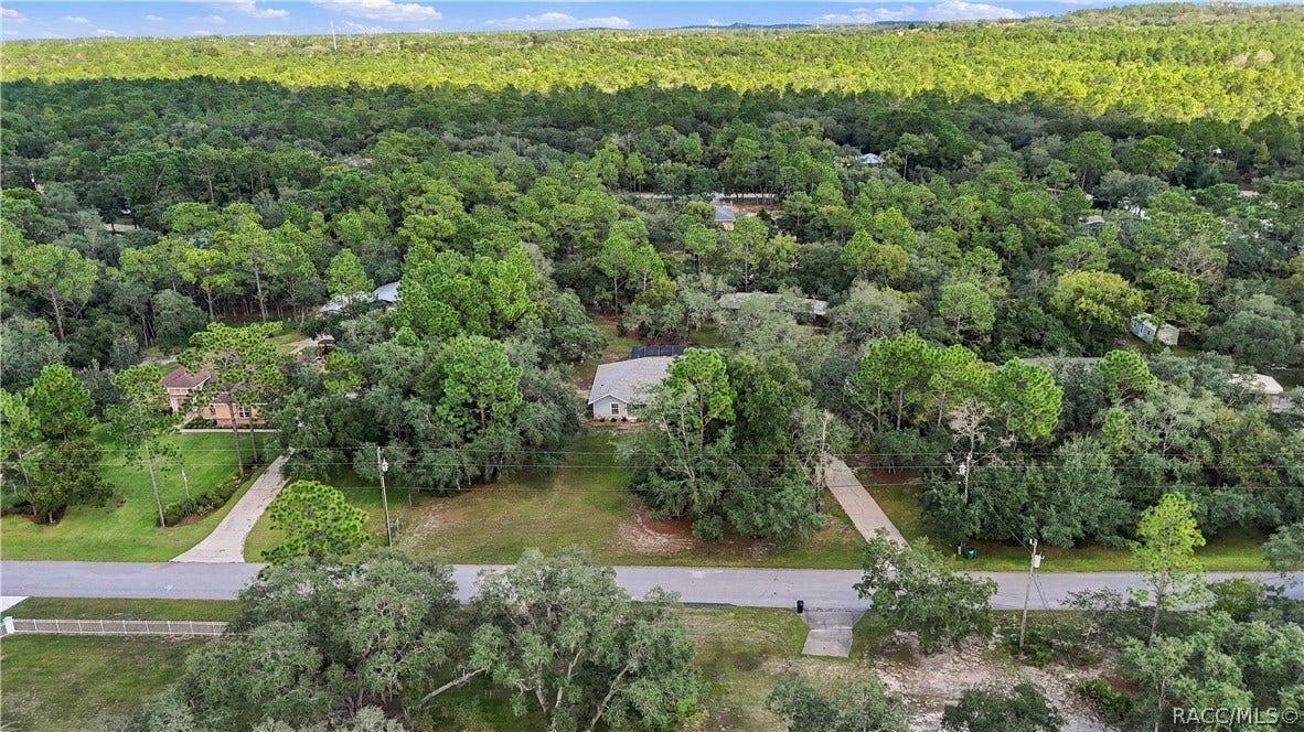 2593 S Columbine Avenue, Homosassa, FL 34448 SURROUNDED BY GREENERY Elevated aerial captures the property's wooded surroundings and sense of space.