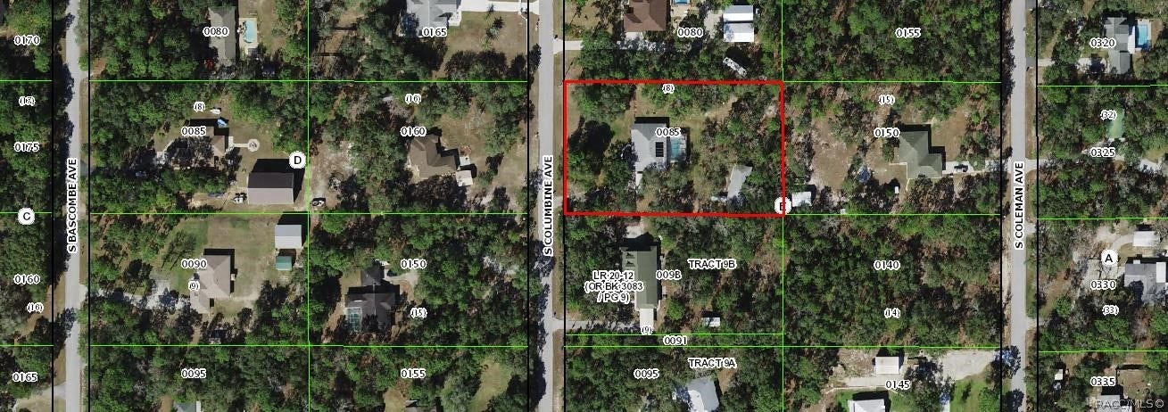 2593 S Columbine Avenue, Homosassa, FL 34448 From the Property Appraisers Office- A LOOK AT THE HOMESITE Parcel view provides perspective on the property boundaries, home placement and surrounding lots. Homesite sits on 1.25 acres.