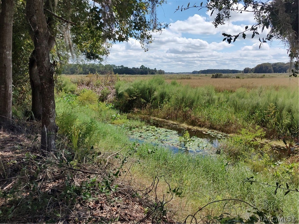 6090 N Bayfront Drive, Hernando, FL 34442 6090 N. Bayfront Dr., Hernando