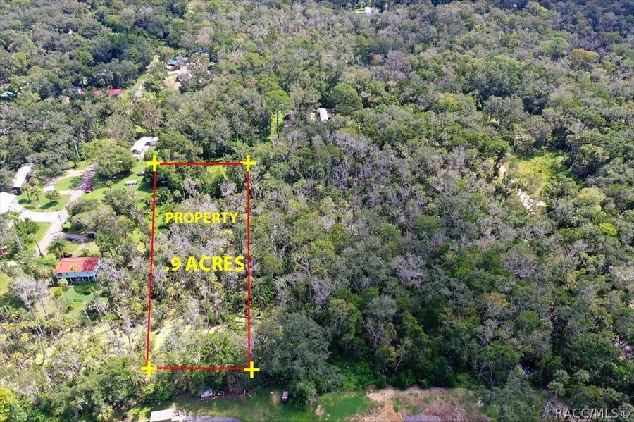 Property photo for 10487 W Palmetto Street, Homosassa, FL