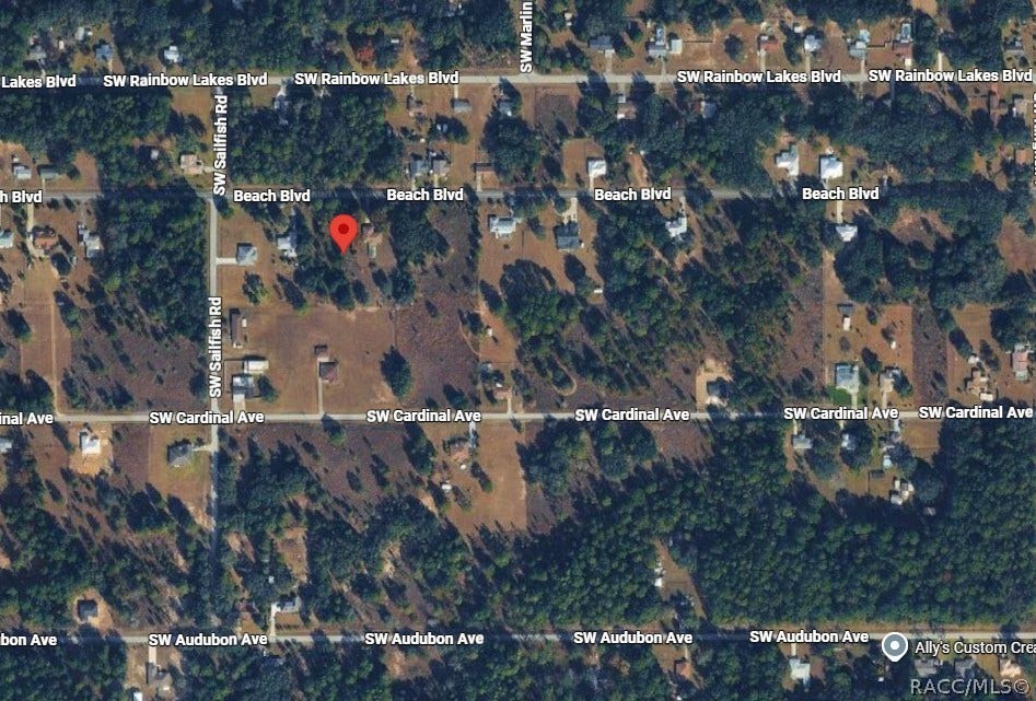 20504 SW Beach Boulevard, Dunnellon, FL 34431 20504 SW Beach Boulevard, Dunnellon, FL 34431