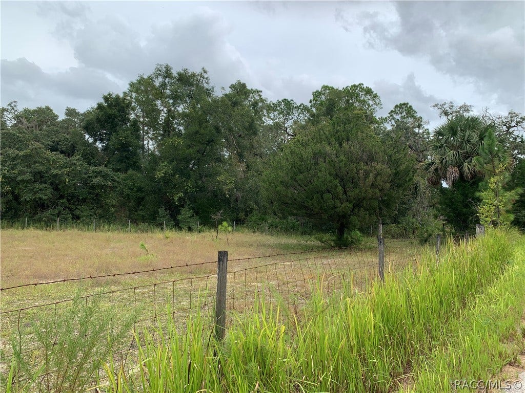 10425 E Moccasin Slough Road, Inverness, FL 34450 10425 E Moccasin Slough Road, Inverness, FL 34450