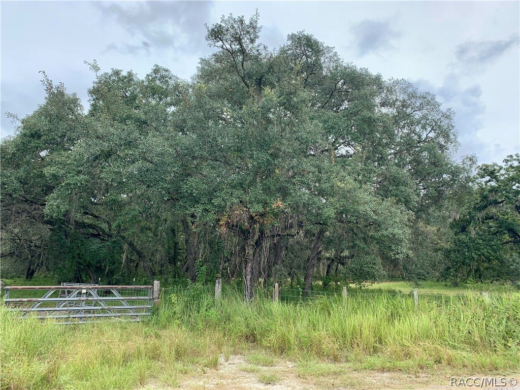 10425 E Moccasin Slough Road, Inverness, FL 34450 10425 E Moccasin Slough Road, Inverness, FL 34450
