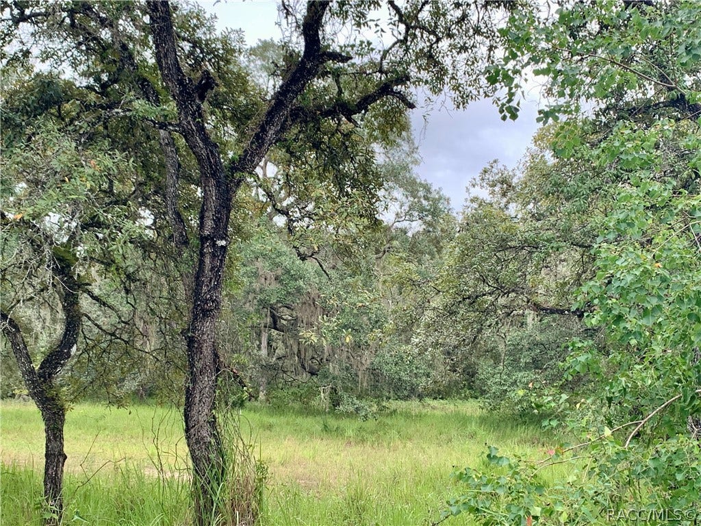 10425 E Moccasin Slough Road, Inverness, FL 34450 10425 E Moccasin Slough Road, Inverness, FL 34450