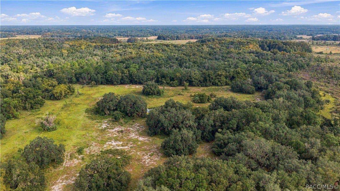 10425 E Moccasin Slough Road, Inverness, FL 34450 10425 E Moccasin Slough Road, Inverness, FL 34450