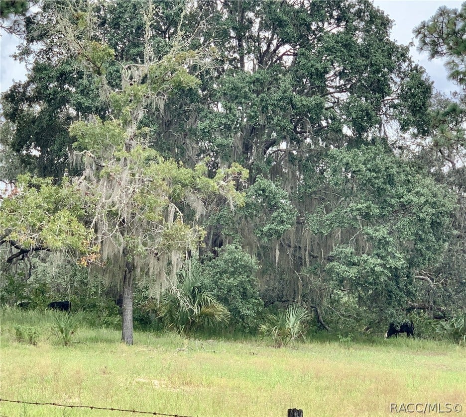 10425 E Moccasin Slough Road, Inverness, FL 34450 10425 E Moccasin Slough Road, Inverness, FL 34450