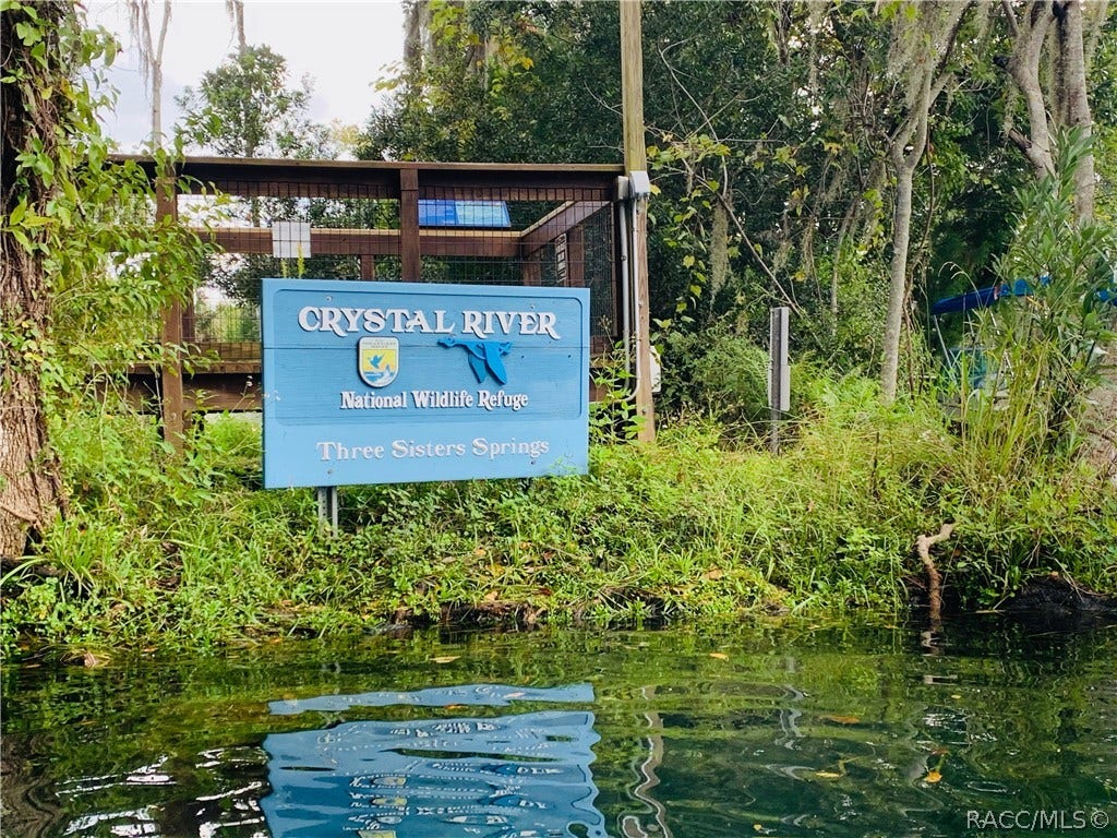 AMAZING 3 Sisters Springs, Crystal River, FL