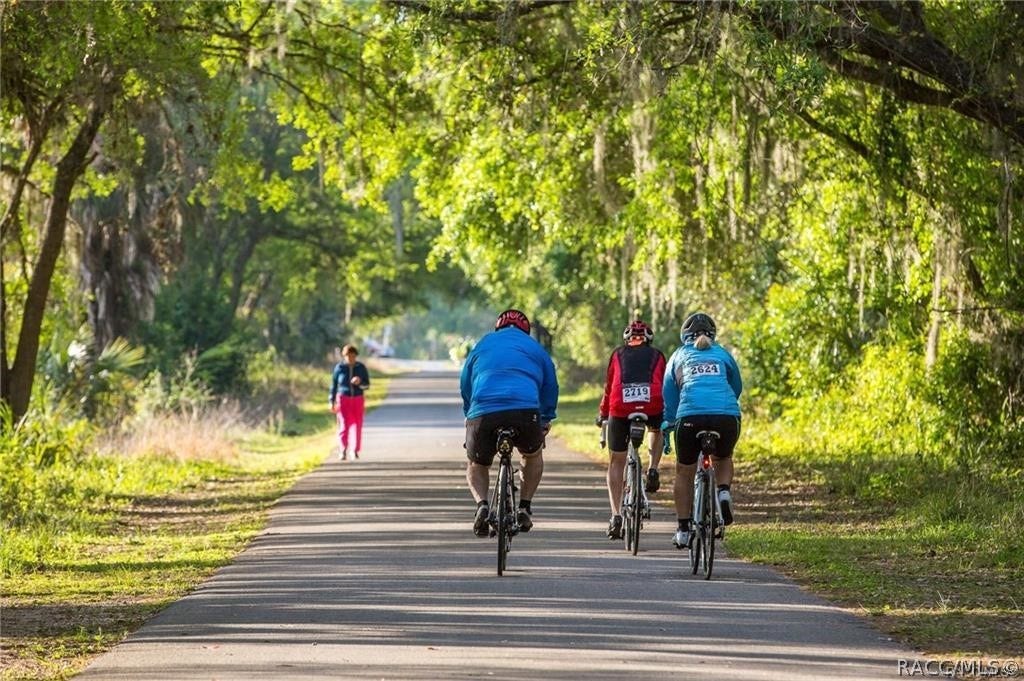 2012 Silverwood Street, Inverness, FL 34453 2012 Silverwood Street, Inverness, FL 34453