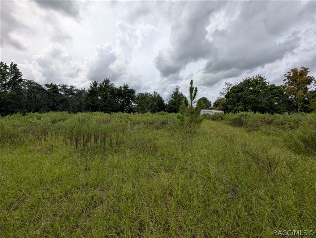 10133 S Appaloosa Avenue, Floral City, FL 34436 10133 S Appaloosa Avenue, Floral City, FL 34436