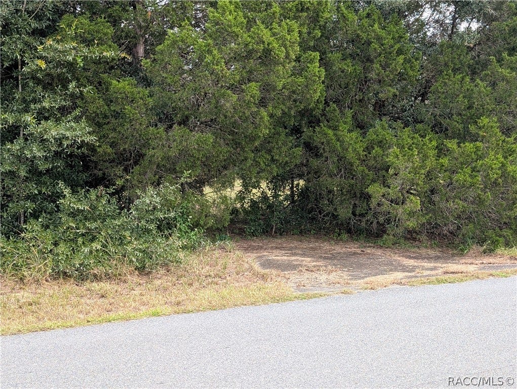 10133 S Appaloosa Avenue, Floral City, FL 34436 10133 S Appaloosa Avenue, Floral City, FL 34436