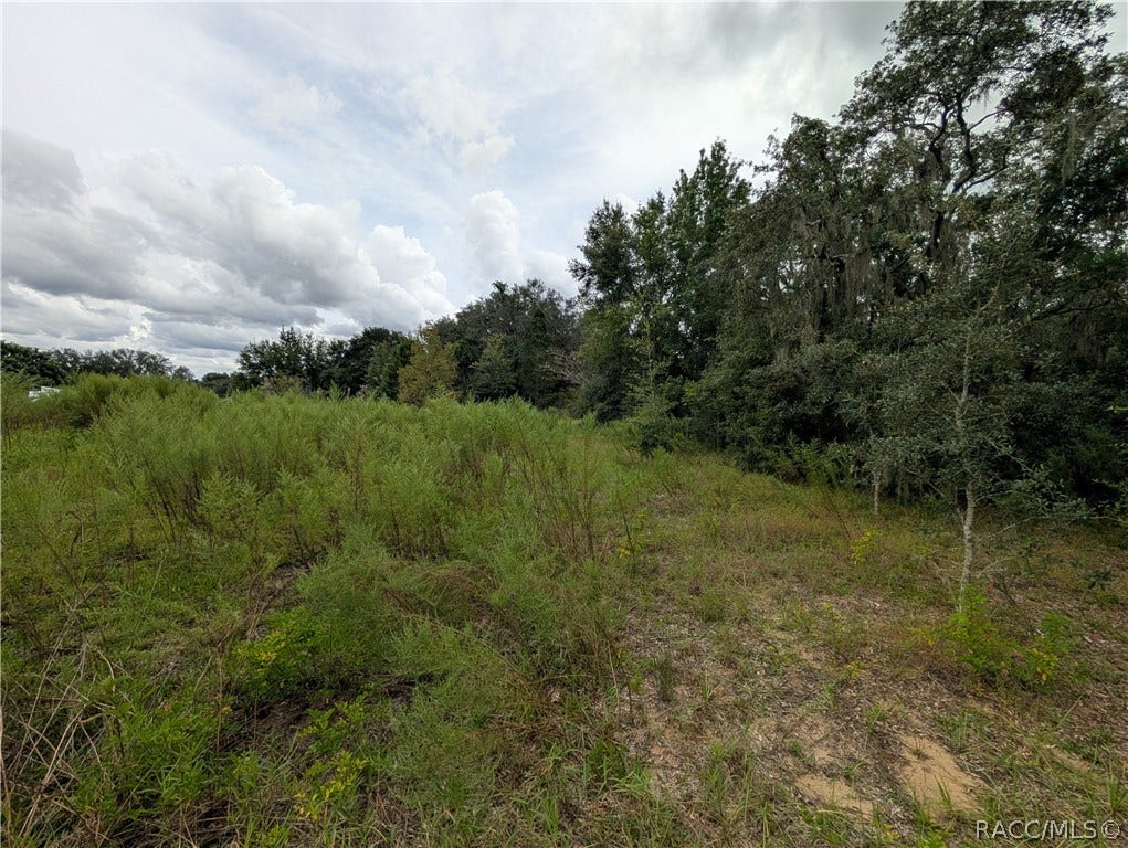 10133 S Appaloosa Avenue, Floral City, FL 34436 10133 S Appaloosa Avenue, Floral City, FL 34436