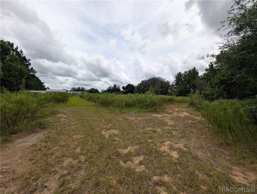 10133 S Appaloosa Avenue, Floral City, FL 34436 10133 S Appaloosa Avenue, Floral City, FL 34436