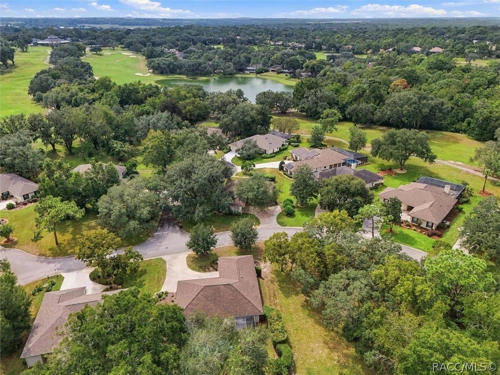 3390 N Bent Tree Point, Lecanto, FL 34461 3390 N Bent Tree Point, Lecanto, FL 34461