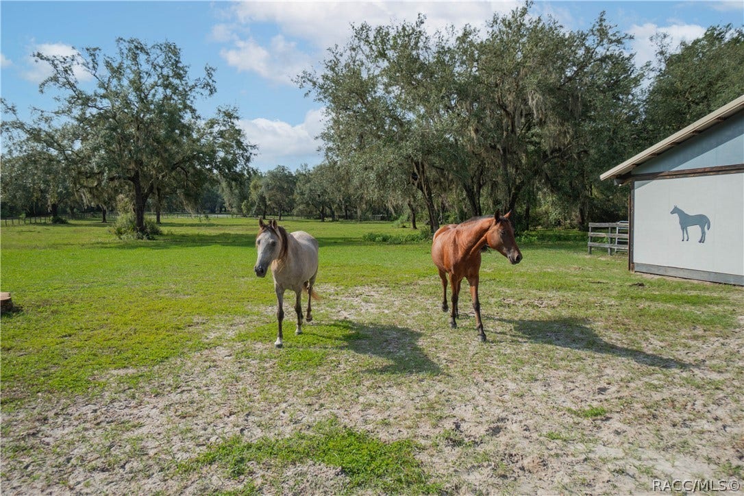 3380 S Clover Park Terrace, Inverness, FL 34450 3380 S Clover Park Terrace, Inverness, FL 34450