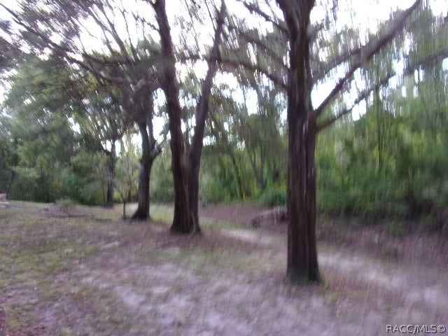 4 Fiddlewood Court, Homosassa, FL 34446 4 Fiddlewood Court, Homosassa, FL 34446