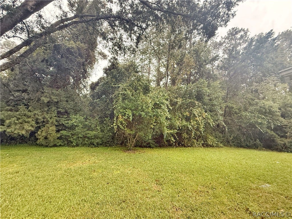 17 Sycamore Circle, Homosassa, FL 34446 17 Sycamore Circle, Homosassa, FL 34446